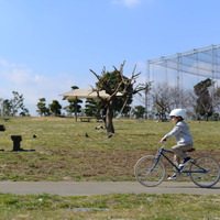 トーキョーバイク、小学生向けの自転車 「TOKYOBIKE Jr.」5月発売