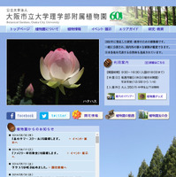 【夏休み】大阪市大附属植物園で森のサマースクール 画像