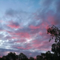 Flinders range