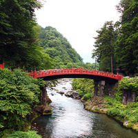 日光も近くなる