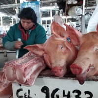 【オビナタの世界放浪記】まるで「千と千尋の神隠し」…豚の首がドンと置かれた南米の市場で思うこと 画像