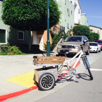 The Brizzly Electric Trike