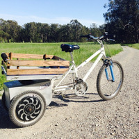 The Brizzly Electric Trike