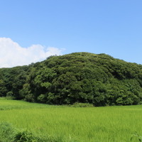 【小さな山旅】夏と千葉と最低山…千葉県富津市・稲荷山 画像