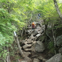 登山道（２）