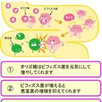 味の素　パルスイート ビオリゴ