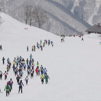 雪上ダウンヒルレース「SNOW VERTICAL down」が苗場スキー場で開催