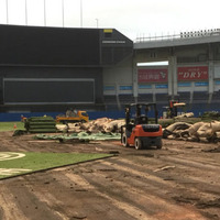 ロッテ本拠球場が7年ぶり人工芝全面張り替え…昨季契約更改での要望通る 画像