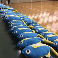 ハンドボールと出世魚ブリを融合！ゆるスポーツ新競技「ハンぎょボール」誕生