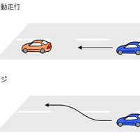 公道試験の内容