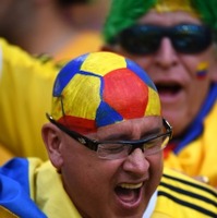 2014年FIFAワールドカップブラジル大会