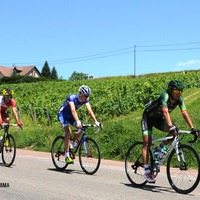 ツール・ド・フランス第11ステージにしてようやく1日中晴れ間が広がった。先頭が新城幸也