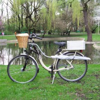 bike umbrella