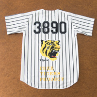 阪神タイガース、虎の保護活動を開始…コラボグッズをクラウドファンディングで販売 画像