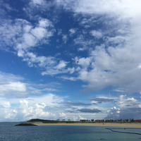 沖縄本島の新レース「美ら島チャレンジとよさきトライアスロン」開催 画像