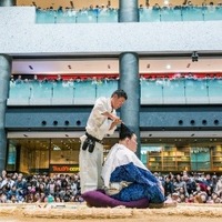 嘉風、琴奨菊らが登場！相撲イベント「うめきた場所in グランフロント大阪」開催