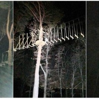 夜の森を楽しめる空中アスレチック「YOZARU」が期間限定で開催