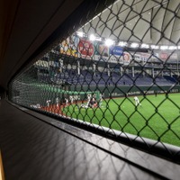 野球観戦型の恋活パーティー「プレミアム野球観戦コン@東京ドーム」開催
