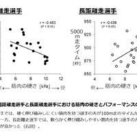 アスリートの筋肉の硬さが競技パフォーマンスに影響…順天堂