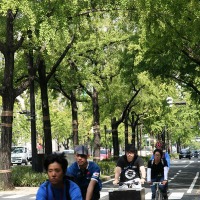 　大阪市のメインストリートである御堂筋に自転車道を設置しようと呼びかけるイベント「御堂筋サイクルピクニック」が10月22日に開催され、約100人のサイクリストが自転車の安全運転励行と自転車道設置の必要性を呼びかけた。（岡田由佳子）