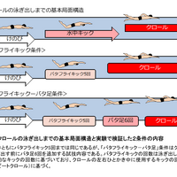 クロールでの泳ぎ出し前のバタ足追加は大きな減速に…順天堂大学