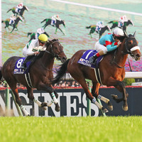 【競馬】ジャパンC　2着以内率『90%』が見込める騎手とは