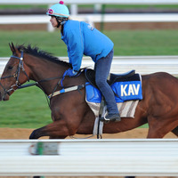 【競馬】チャンピオンズC　“中4週”のクリソベリルら、有力馬追い切りジャッジ＆狙える穴馬プラスワン！