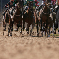 【競馬】東京大賞典はオメガパフュームが接戦を制し3連覇達成