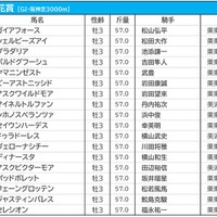 【菊花賞／前日オッズ】ガイアフォースが単勝3.6倍で1人気　馬連は2人気以下が10倍以上の“2強”状態