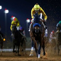 【サウジカップデー】日本馬の悲願達成なるか　サウジCはチャンピオンズC覇者ジュンライトボルトが3人気