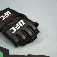 【総合格闘技】UFCがWWEを買収・統合 、企業価値は約2兆2900億円　「またとないチャンス」とCEO