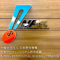 【プロ野球】オールスター開催などによる過密日程　関係者はファンと選手を慮る調整を…