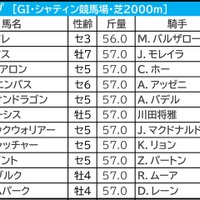 【香港カップ／馬連2点】連覇かかるロマンチックウォリアー　「少なくとも連は外さない」