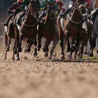 【東京ダート傾向】“根岸Sの日曜は大型馬を狙え”　適度な水分量も、徐々にタフな状態へ