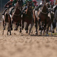 【サウジカップ2024】ウシュバテソーロに“勝機到来”か　日本馬Vの2戦に「外差し優位」の馬場傾向浮上