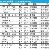 【マーメイドS／枠順】好走馬2/3を占める“1桁馬番”が単複回収値100以上　Dコース替わりで外枠不利か