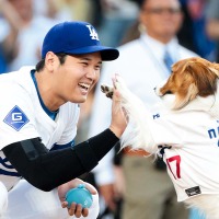 【MLB】「僕が緊張した」大谷翔平、デコピン始球式で本音吐露　練習期間は3週間で「きれいに決めてくれて良かった」と安堵