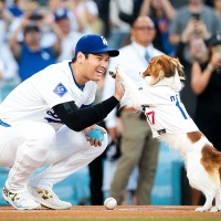 【MLB】「キュートでお利口さん」始球式にデコピンが登場、マウンドから捕手役・大谷翔平のもとへボール届ける　最後はハイタッチで大役果たす