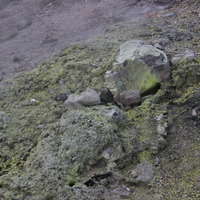 峰の茶屋から無間地獄、牛ヶ首方面へ。あちこちに、硫黄が付着し黄色に変化した岩がある。