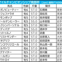 【MCS南部杯／枠順・データ】ジオグリフに黄信号　“枠と位置取り”が勝敗を決める