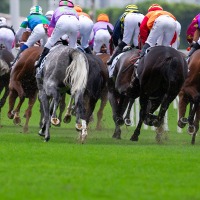 【菊花賞／馬場情報】一夜明け京都芝は“稍重”スタート　土曜芝で傾向を掴む「騎手2人」が波乱の目か