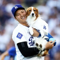 【MLB】大谷翔平と愛犬デコピンがアニメ化されて登場　少年時代からこれまでを米メディアが約50秒に凝縮「イッツ・ショウタイム」