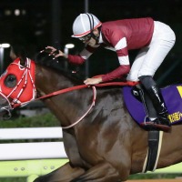 【ドバイワールドC／馬単3点】フォーエバーヤングは“世界制圧”への通過点か　前走完敗組の大駆けに要警戒