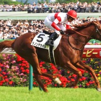 【ドバイシーマC／3連単30点】ダノンデサイルらGI馬に立ちはだかる“日本馬キラー”　英国勢2騎も不気味