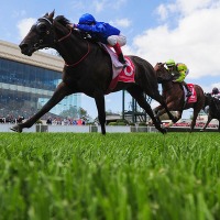 【オークス／データ攻略】カムニャックとパラディレーヌの「買い or 消し」　非桜花賞組で“勝負になる”人気盲点は
