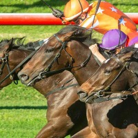 【北九州記念／危険な人気馬】ロードフォアエースに“勝率ゼロ”が続々出現……3人気以内濃厚も安易に食いつけない理由