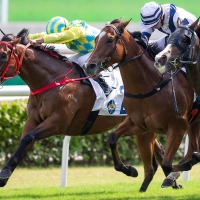 【凱旋門賞】海外ブックメーカーは前年2着アヴァンチュールと“怪物牝馬”を1番人気に　日本馬3頭のオッズは