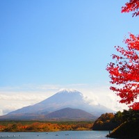 今週の土曜日に紅葉狩りはいかが？　ウェザーニューズ、第三回紅葉見頃予想