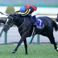 【マイルCS／危険な人気馬】マイルGI馬3強の一角に“黄信号”データ浮上　消しレベルの「1/63と0/4」