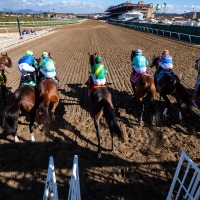 【チャンピオンズC／馬場情報】土曜は8枠好走も“イン突き”がコース攻略　枠と血統で浮上した想定“10人気”の爆穴